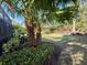 Lush backyard with manicured landscaping and views of the surrounding neighborhood at 5031 Serata Dr, Bradenton, FL 34211