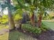 Lush backyard with beautiful palm trees, green grass, and a screened in patio at 5031 Serata Dr, Bradenton, FL 34211