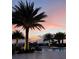 Relaxing poolside ambiance with palm trees and ambient lighting at sunset at 5209 Barnett Cir, Lakewood Ranch, FL 34211