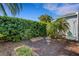 Landscaped backyard featuring a stone lantern, tropical palm, and lush green hedges at 8420 Sailing Loop, Lakewood Ranch, FL 34202