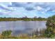 Scenic view of a serene lake surrounded by lush trees and vegetation under a partly cloudy sky at 854 Dahoon Cir, Venice, FL 34293
