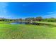 Serene pond view from a lush green lawn, perfect for nature lovers and peaceful relaxation at 12263 Lavender Loop, Bradenton, FL 34212