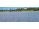 Beautiful serene lake view with a scenic bridge and trees surrounding the edge of the lake at 19912 Bridgetown Loop, Venice, FL 34293
