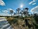 Rural landscape with trees and grass at 26313 84Th E Ave, Myakka City, FL 34251