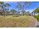 Well-maintained backyard featuring a large tree providing ample shade and greenery at 4220 Center Pointe Ln # 21, Sarasota, FL 34233