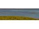 Bright view of the water, with shrubbery in the foreground at 4535 Bay Club Dr, Bradenton, FL 34210