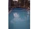 Sparkling pool in screened enclosure and a blue pool cover at 540 Palmetto Ne Dr, Port Charlotte, FL 33952