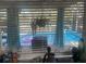 View of a private pool through window, highlighting a backyard recreational space at 540 Palmetto Ne Dr, Port Charlotte, FL 33952