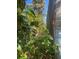 Lush backyard featuring vibrant greenery and hibiscus, creating a private and serene outdoor space at 540 Palmetto Ne Dr, Port Charlotte, FL 33952