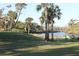 Beautiful community green space with lush lawn, mature palm trees and waterfront view at 922 Fernleaf Run, Bradenton, FL 34212