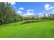 Picturesque backyard with expansive green space and peaceful pond views at 12225 Whisper Lake Dr, Bradenton, FL 34211