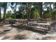 A shady picnic area features wooden picnic tables and a charcoal grill surrounded by lush trees at 129 Taft Dr # W102, Sarasota, FL 34236