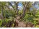 Backyard garden featuring a gravel path winding through lush, mature trees at 1901 Deancroft Rd, Sarasota, FL 34235