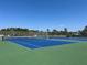 Well maintained community tennis court with new blue and green surfacing at 4120 Shamrock Dr, Venice, FL 34293