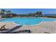Large community swimming pool bordered by lounge chairs and palm trees on a sunny day at 5602 Tidewater Preserve Blvd, Bradenton, FL 34208