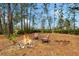 A cozy fire pit area with chairs invites relaxation and gatherings in a peaceful, wooded setting at 7108 229Th E St, Bradenton, FL 34211
