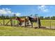 Two beautiful horses standing behind a fenced paddock, grazing on lush grass at 7108 229Th E St, Bradenton, FL 34211