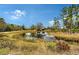 Scenic pond surrounded by native vegetation, under a bright blue sky with clouds at 7108 229Th E St, Bradenton, FL 34211