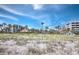 Expansive beach view with palm trees and tiki hut, perfect for relaxation and enjoying the ocean breeze at 1485 Gulf Of Mexico Dr # 205, Longboat Key, FL 34228