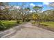 Long driveway entrance framed by mature trees and manicured landscaping offering a grand approach at 201 Eaglenook Way, Osprey, FL 34229