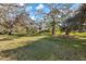 Expansive front yard with mature trees offering shade and privacy to this beautiful property at 201 Eaglenook Way, Osprey, FL 34229