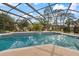 Inviting screened-in pool with ample patio space for lounging and entertaining under a blue sky at 201 Eaglenook Way, Osprey, FL 34229