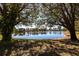 Picturesque lake view framed by mature trees, showcasing the community's natural beauty at 2123 Lynx Run, North Port, FL 34288