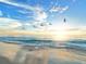 A sunny beach view featuring birds flying above the soft waves and clear blue sky at sunset at 2427 Tulip St, Sarasota, FL 34239