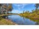 Scenic view of the backyard with a tranquil lake, lush greenery, and mature trees at 3008 Highlands Bridge Rd, Sarasota, FL 34235