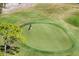 Aerial view of a golf course green with an eagle flying overhead at 4416 Calle Serena, Sarasota, FL 34238