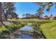 A pond surrounded by well manicured green grass and mature trees sits behind the home at 4416 Calle Serena, Sarasota, FL 34238