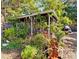 Outdoor backyard area with a cute shack, lush greenery, and garden elements perfect for relaxation at 750 N Tamiami Trl # 814, Sarasota, FL 34236