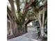 Majestic banyan trees frame the driveway leading to this charming home with a garage at 7735 Westmoreland Dr, Sarasota, FL 34243