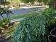 A beautiful front yard landscape featuring a lush shrubbery and blooming flowers at 7735 Westmoreland Dr, Sarasota, FL 34243