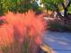 Lush landscape with vibrant pink muhly grass at 9393 Midnight Pass Rd # 506, Sarasota, FL 34242