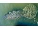 Aerial view of a manatee swimming at 9393 Midnight Pass Rd # 506, Sarasota, FL 34242