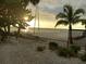 Scenic view of a beach with a sailboat, palm tree, and the sun shining over the water at sunset at 1001 Benjamin Franklin Dr # 510, Sarasota, FL 34236