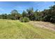 View of large grassy backyard with line of mature trees in the distance at 10179 Milky Way Cir, Sarasota, FL 34241