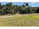 Grassy lot with natural vegetation and mature trees offering privacy and tranquility at 10179 Milky Way Cir, Sarasota, FL 34241