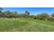 Expansive backyard with lush green lawn and mature trees offering shade at 1030 Bahia Vista Ct, Sarasota, FL 34232