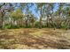 Large backyard with mature trees, foliage, and a hammock, offering a serene escape at 13600 N Branch Rd, Sarasota, FL 34240