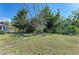 A backyard with a tree in the center of the yard, surrounded by lush greenery at 357 Woodvale Dr, Venice, FL 34293