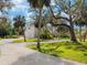 Long driveway leading to a grand home surrounded by mature trees and lush landscaping at 3648 Beneva Oaks Blvd, Sarasota, FL 34238