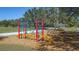 Community playground with climbing dome and balance pods at 6433 Blue Grosbeak Cir, Lakewood Ranch, FL 34202
