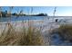 Beautiful beach with tall grass blowing and a heron wading in the surf near a fishing pier at 105 47Th Avenue W Dr # 377, Bradenton, FL 34207