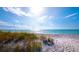 Serene beach scene with ocean views, grassy dunes, and soft sand, creating a tranquil coastal experience at 1900 Harbourside Dr # 102, Longboat Key, FL 34228