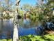 Picturesque view of a serene pond reflecting the surrounding trees and sky at 3818 Sun Eagle Ln, Bradenton, FL 34210