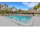 Relaxing community pool featuring plenty of lounge chairs and palm tree landscaping at 5019 Village Gardens Dr # 31, Sarasota, FL 34234