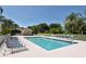 Community pool surrounded by palm trees, offering a relaxing oasis in a tropical setting at 9570 High Gate Dr # 1722, Sarasota, FL 34238