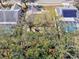 A bird's eye view of a house with a deck that is partially covered by trees at 11213 2Nd E Ave, Bradenton, FL 34212